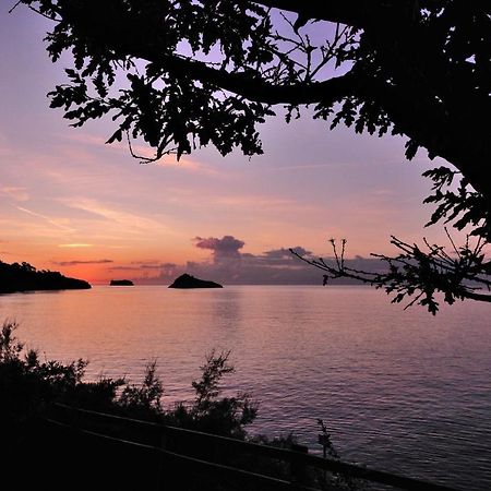 English Riviera Sunrise Βίλα Torquay Εξωτερικό φωτογραφία